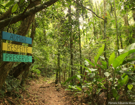 Trilha Parque São Francisco de Assis