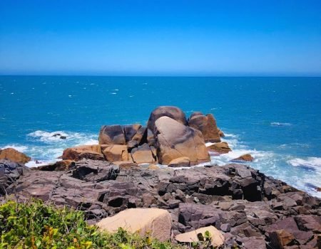 Ilha do Campeche (8).jpg