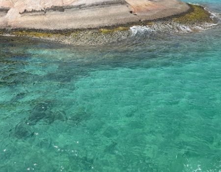 Ilha do Campeche
