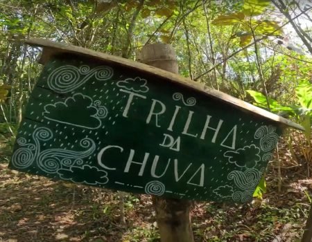 Trilga da Chuva 03. jpg