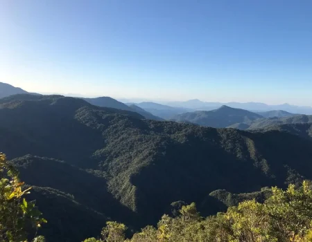 Trilha do Morro do Sapo 01 - Instituto Parque Nascentes