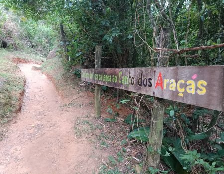 Caminho da Costa da Lagoa ao Canto dos Araçás