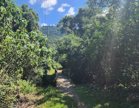 Caminho da Costa da Lagoa ao Canto dos Araçás